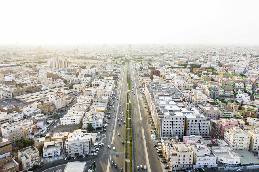 حي الربوة
